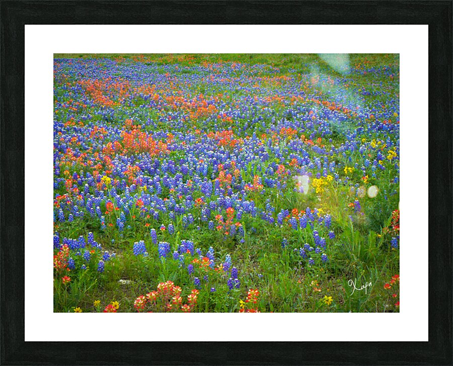 2561333 :: Framed Print