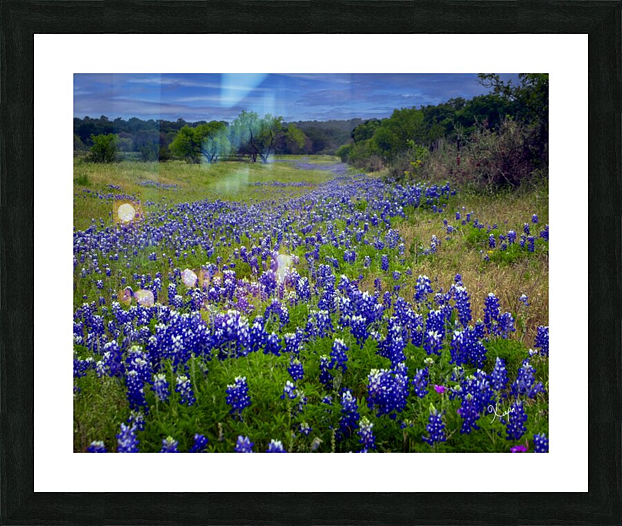 2561335 :: Framed Print