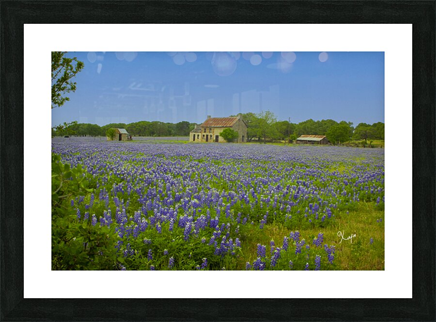 2561337 :: Framed Print