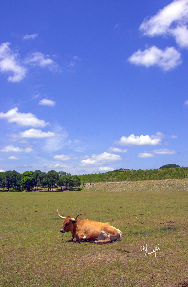 2561316 :: Giclée Fine Art Matte Paper Print