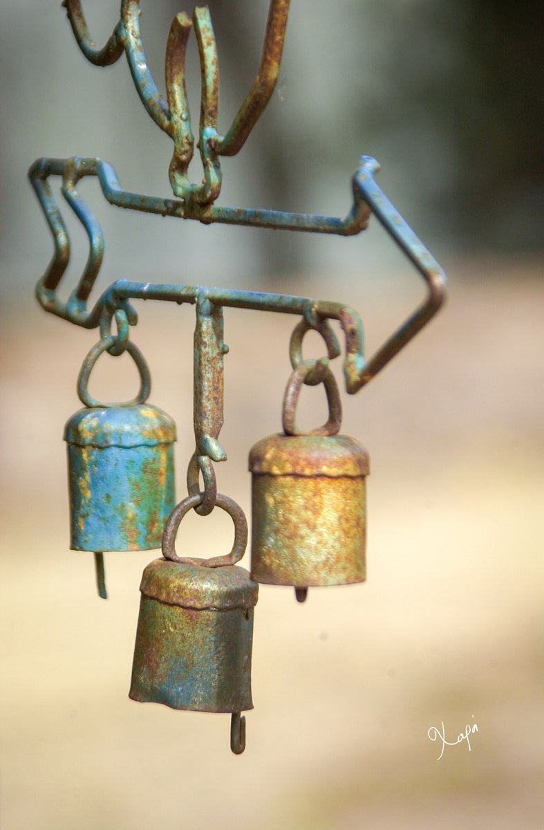 2561351 :: Giclée Poster Satin Photo Paper Print