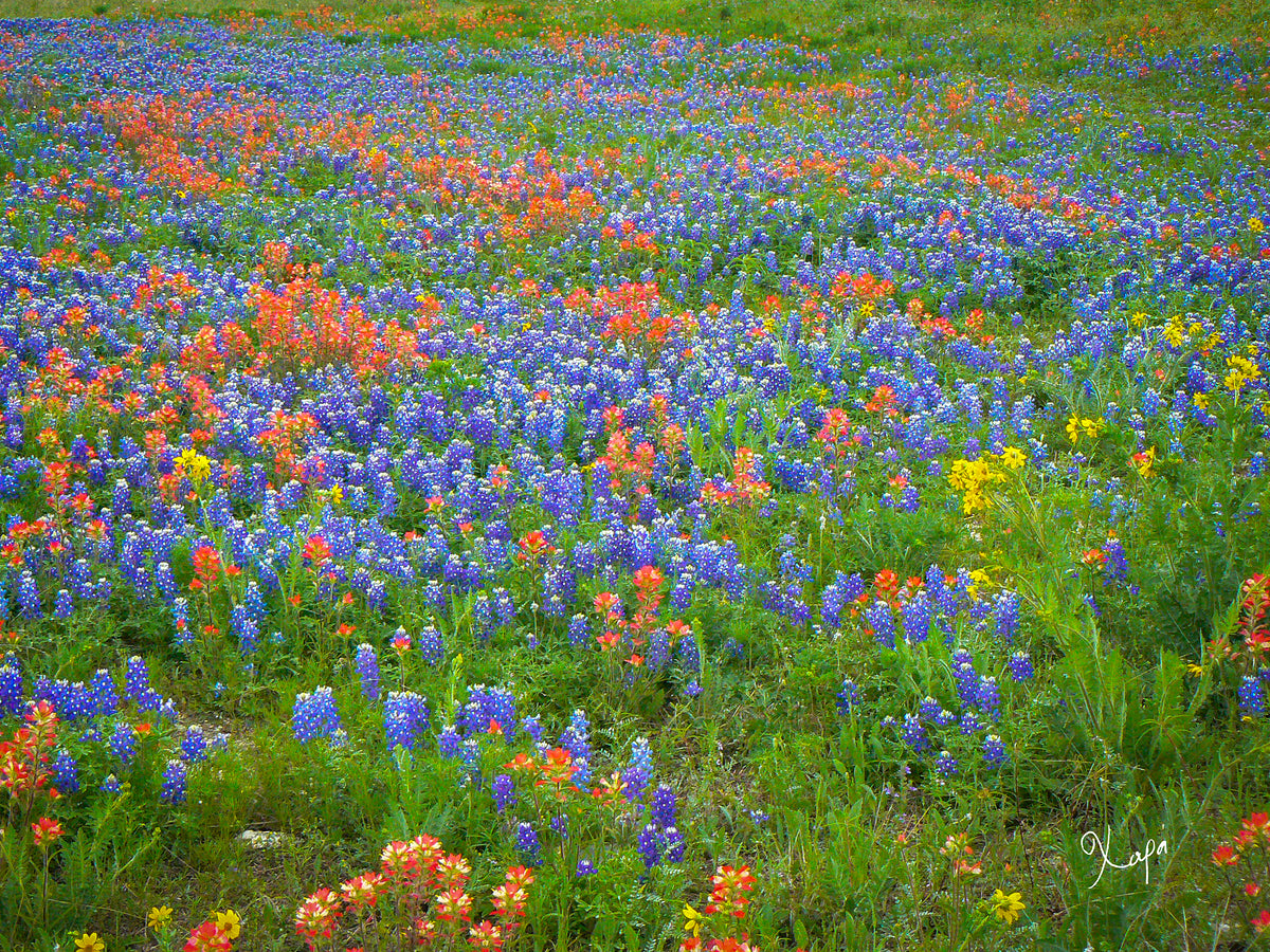 2561333 :: Giclée Poster Satin Photo Paper Print