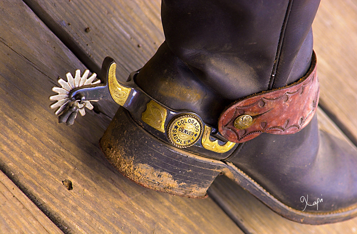 2561348 :: Giclée Rolled Canvas Print