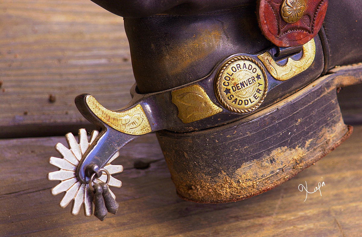 2561350 :: Giclée Rolled Canvas Print