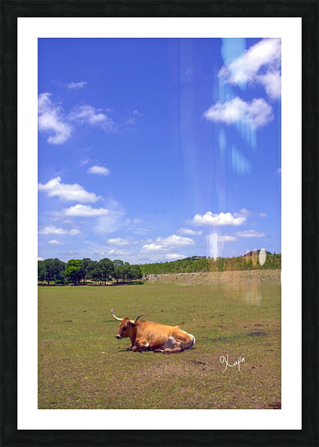 2561316 :: Framed Print