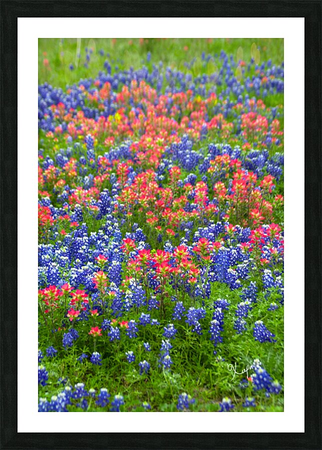 2561334 :: Framed Print