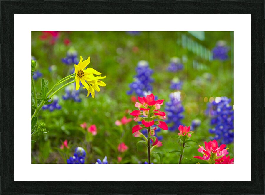 2561352 :: Framed Print
