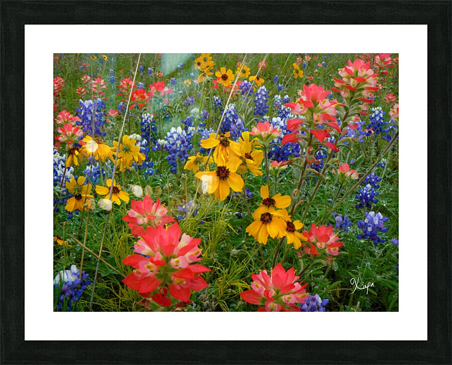 2561353 :: Framed Print