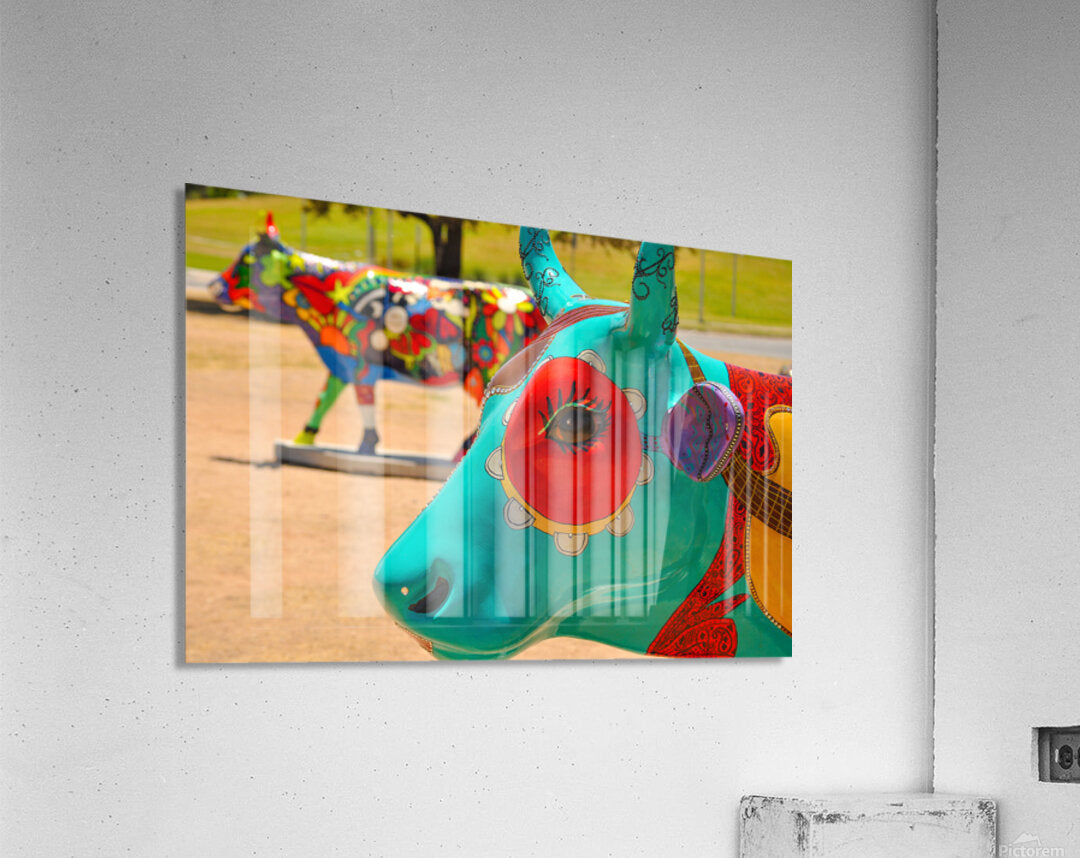 2561322 :: Acrylic Print