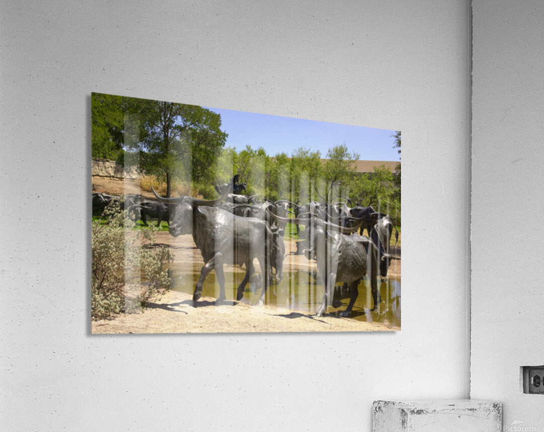 2561329 :: Acrylic Print