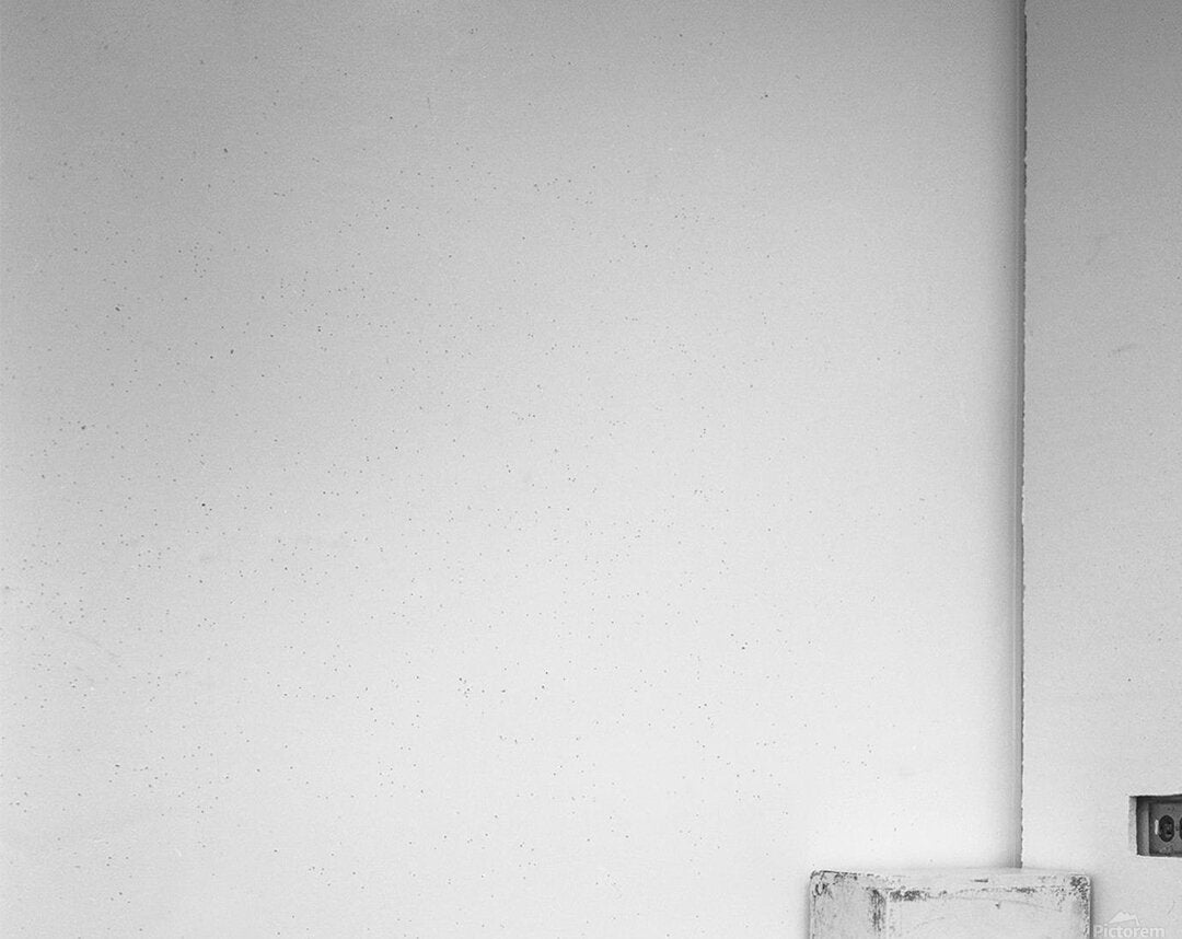 2561330 :: Acrylic Print