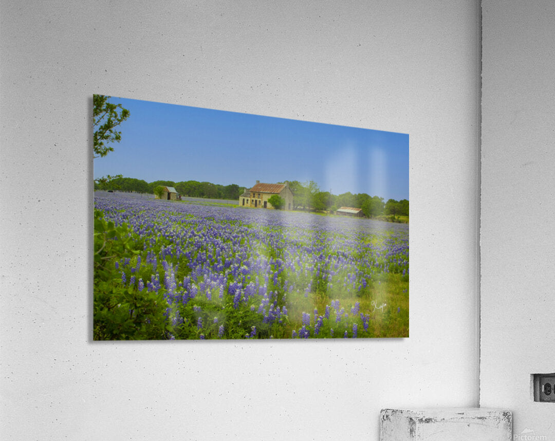 2561337 :: Acrylic Print