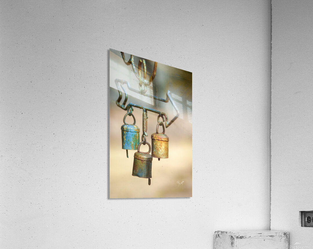 2561351 :: Acrylic Print