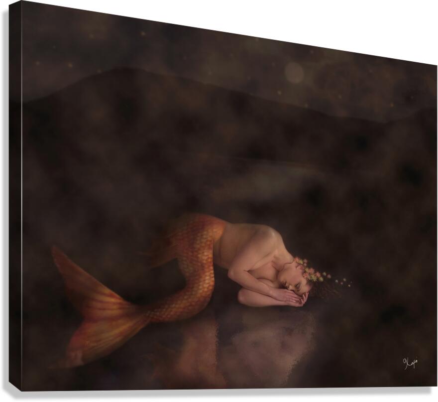 2557175 :: Giclée Stretched Canvas Print