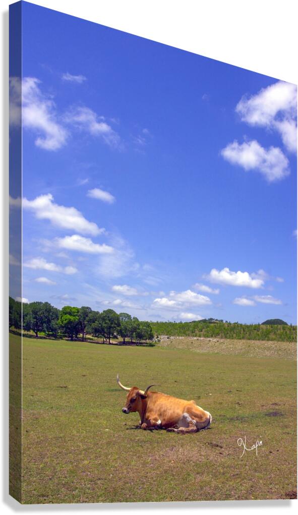 2561316 :: Giclée Stretched Canvas Print