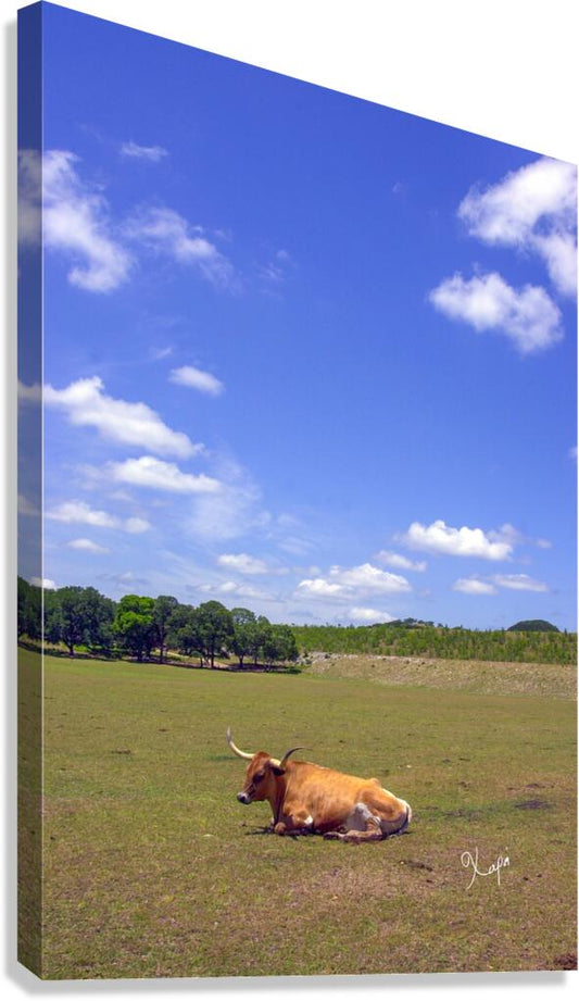 2561316 :: Giclée Stretched Canvas Print