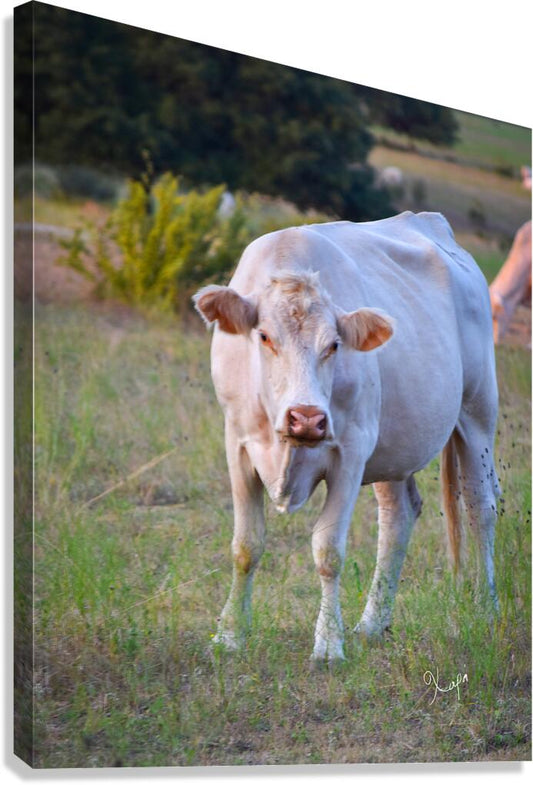 2561328 :: Giclée Stretched Canvas Print