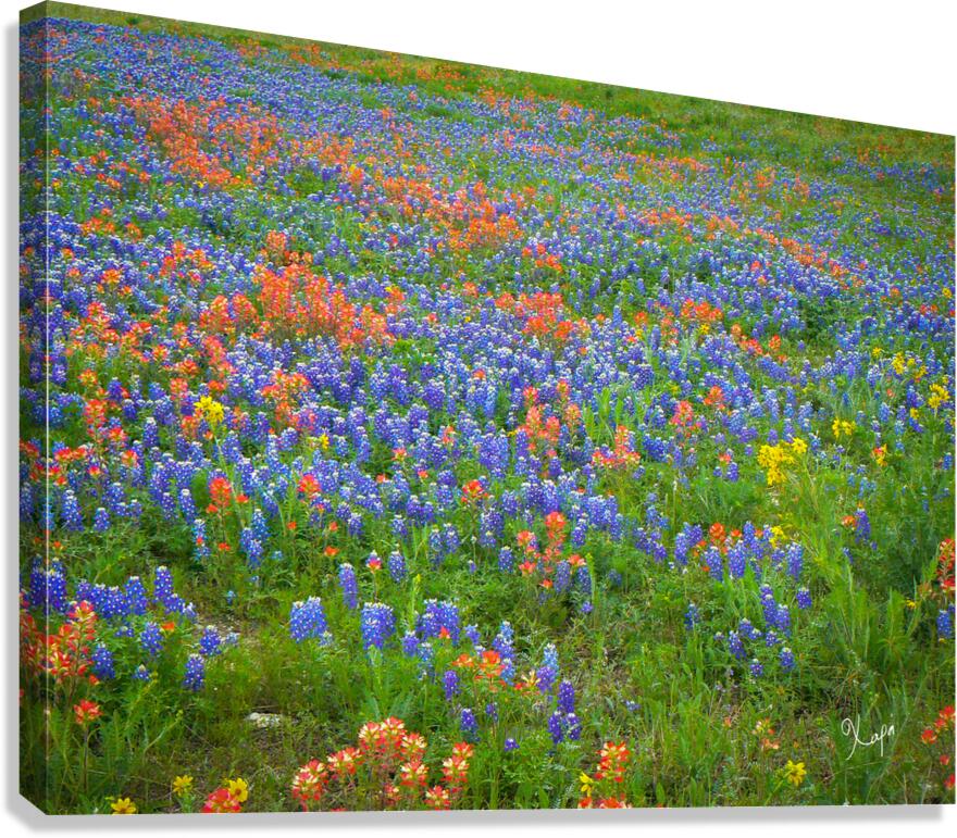 2561333 :: Giclée Stretched Canvas Print