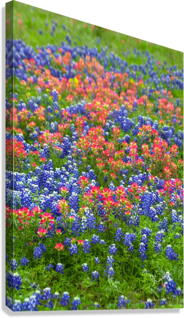 2561334 :: Giclée Stretched Canvas Print