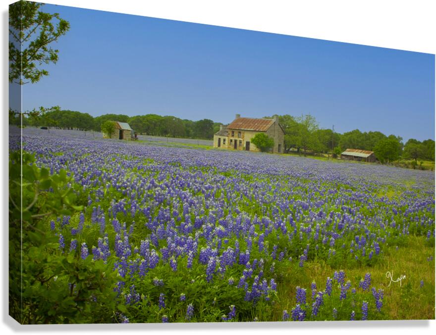 2561337 :: Giclée Stretched Canvas Print