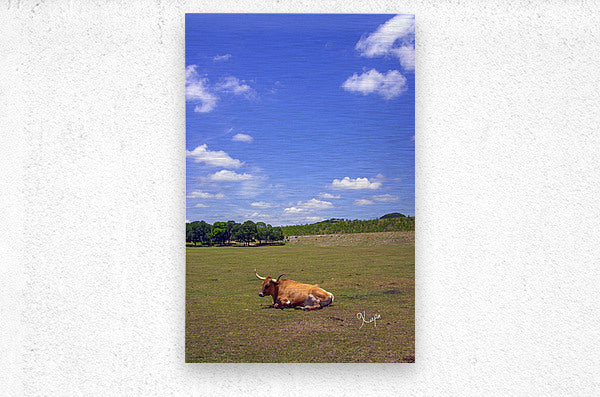 2561316 :: Brushed Metal Print