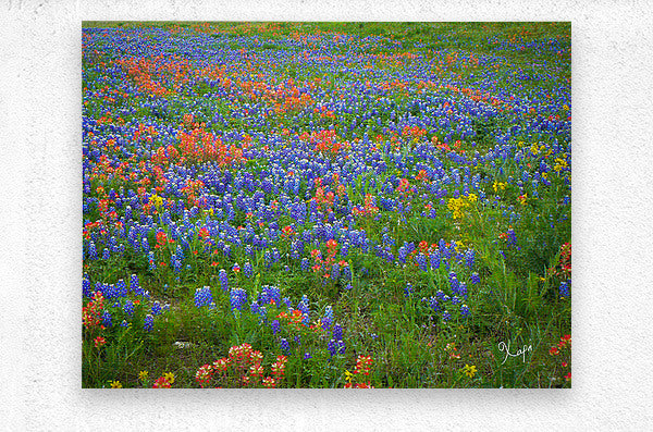 2561333 :: Brushed Metal Print