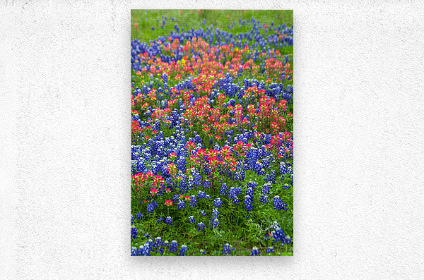 2561334 :: Brushed Metal Print