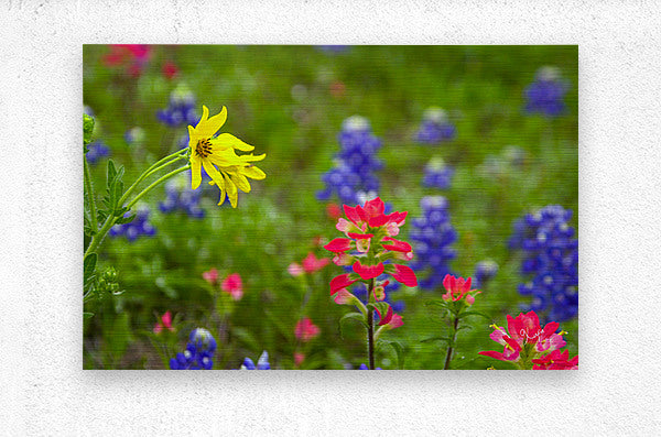 2561352 :: Brushed Metal Print