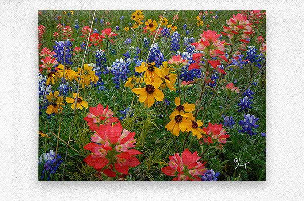 2561353 :: Brushed Metal Print