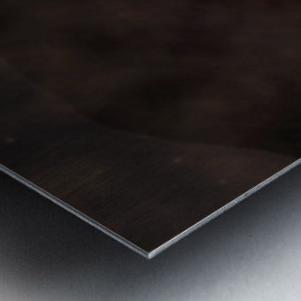 2557175 :: Brushed Metal Print