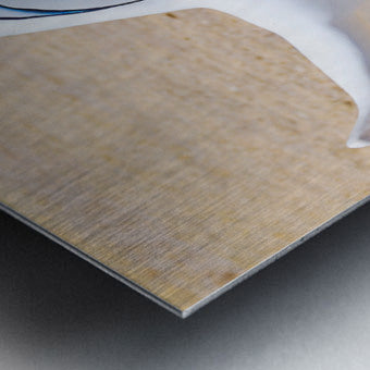 2561317 :: Brushed Metal Print