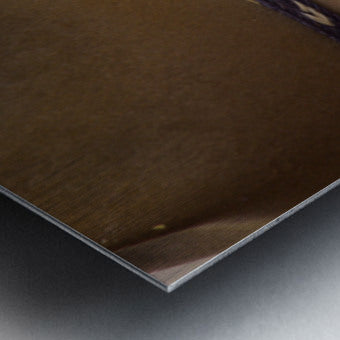 2561327 :: Brushed Metal Print