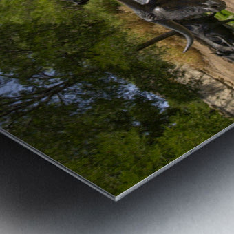 2561329 :: Brushed Metal Print