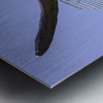 2561332 :: Brushed Metal Print