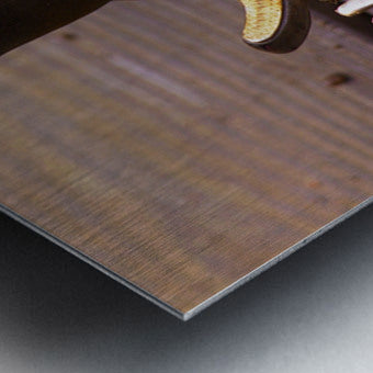 2561350 :: Brushed Metal Print