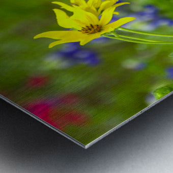 2561352 :: Brushed Metal Print