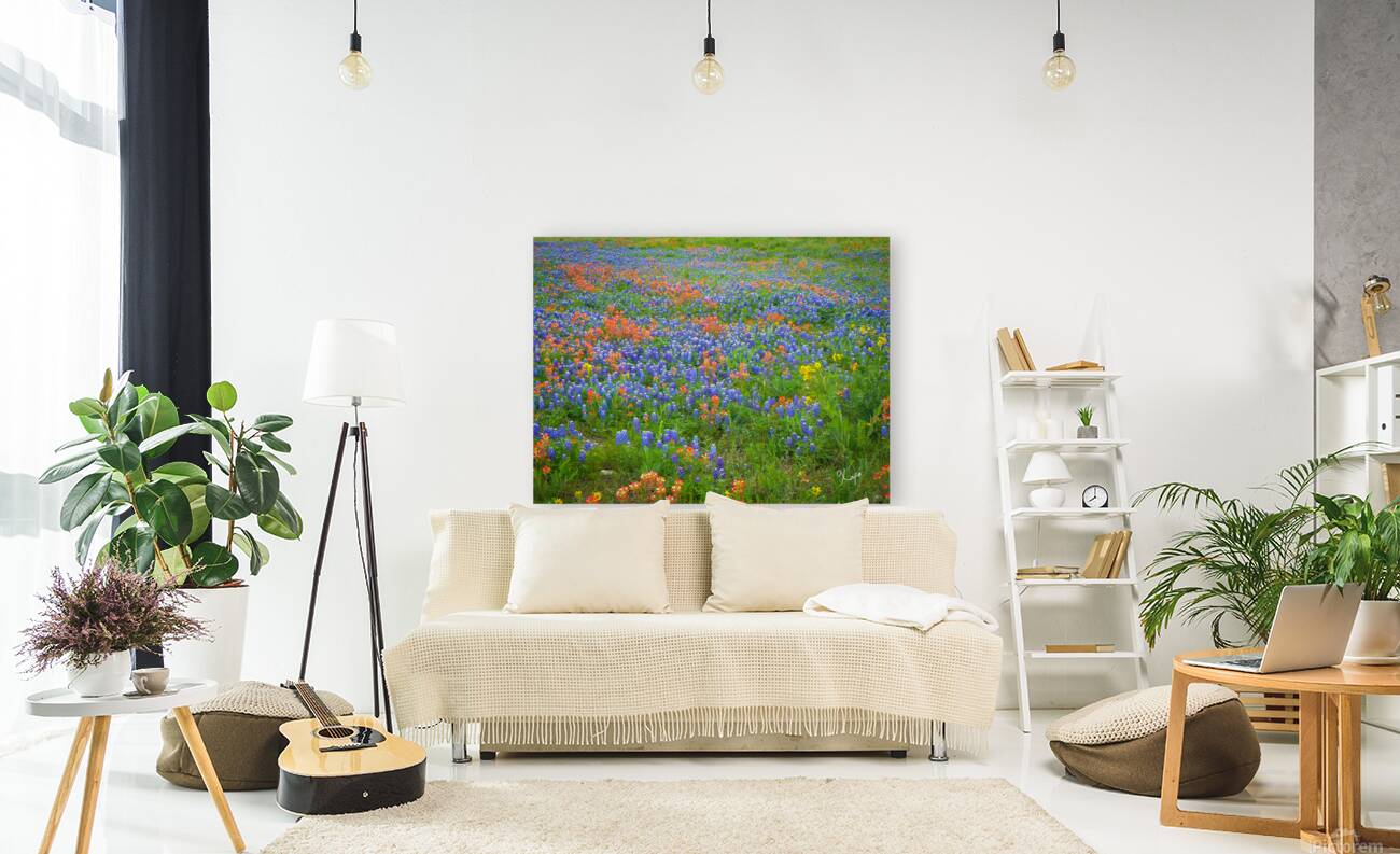 2561333 :: Giclée Stretched Canvas Print
