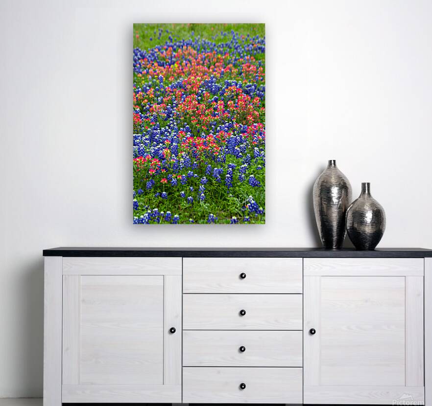 2561334 :: Giclée Stretched Canvas Print