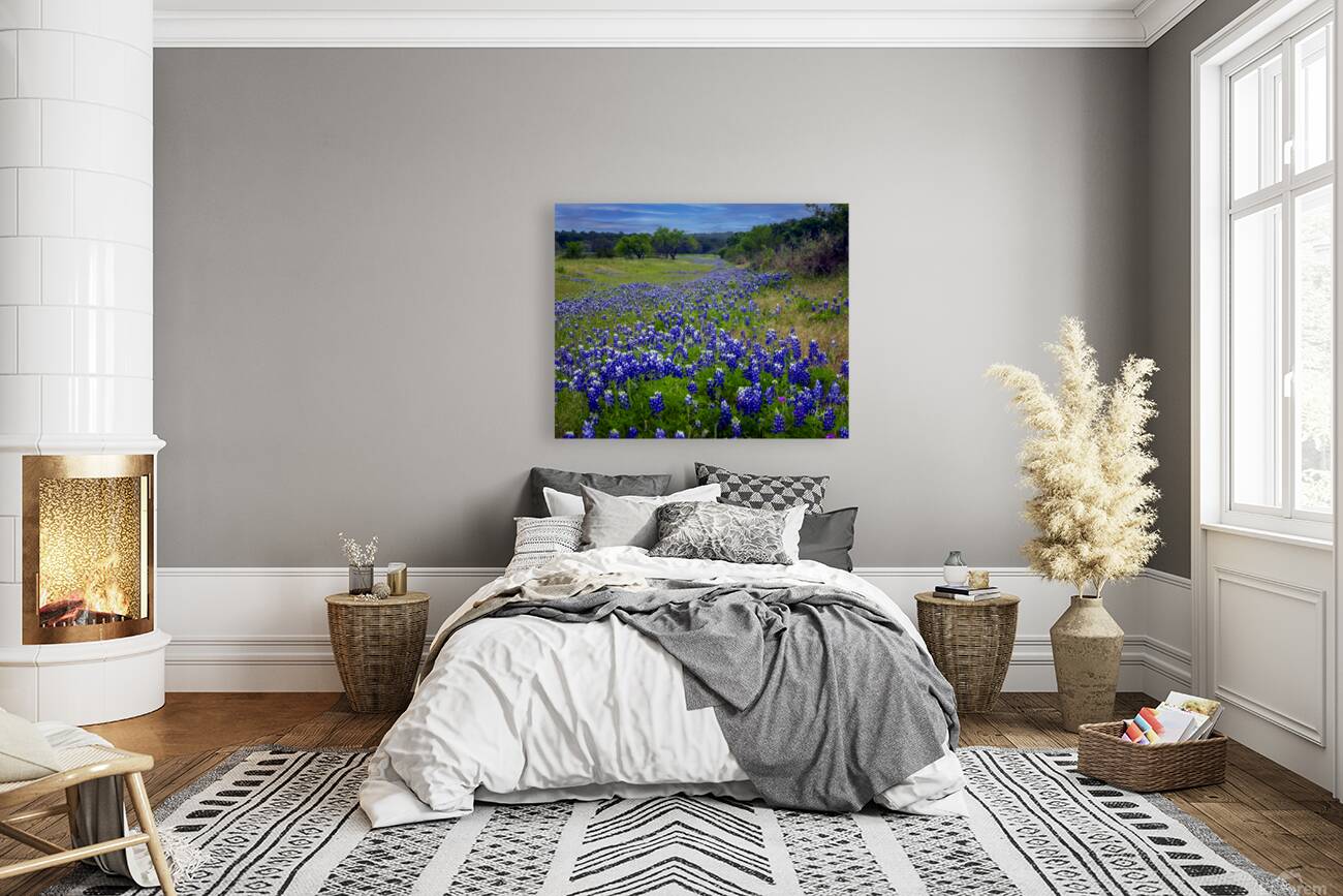 2561335 :: Giclée Stretched Canvas Print