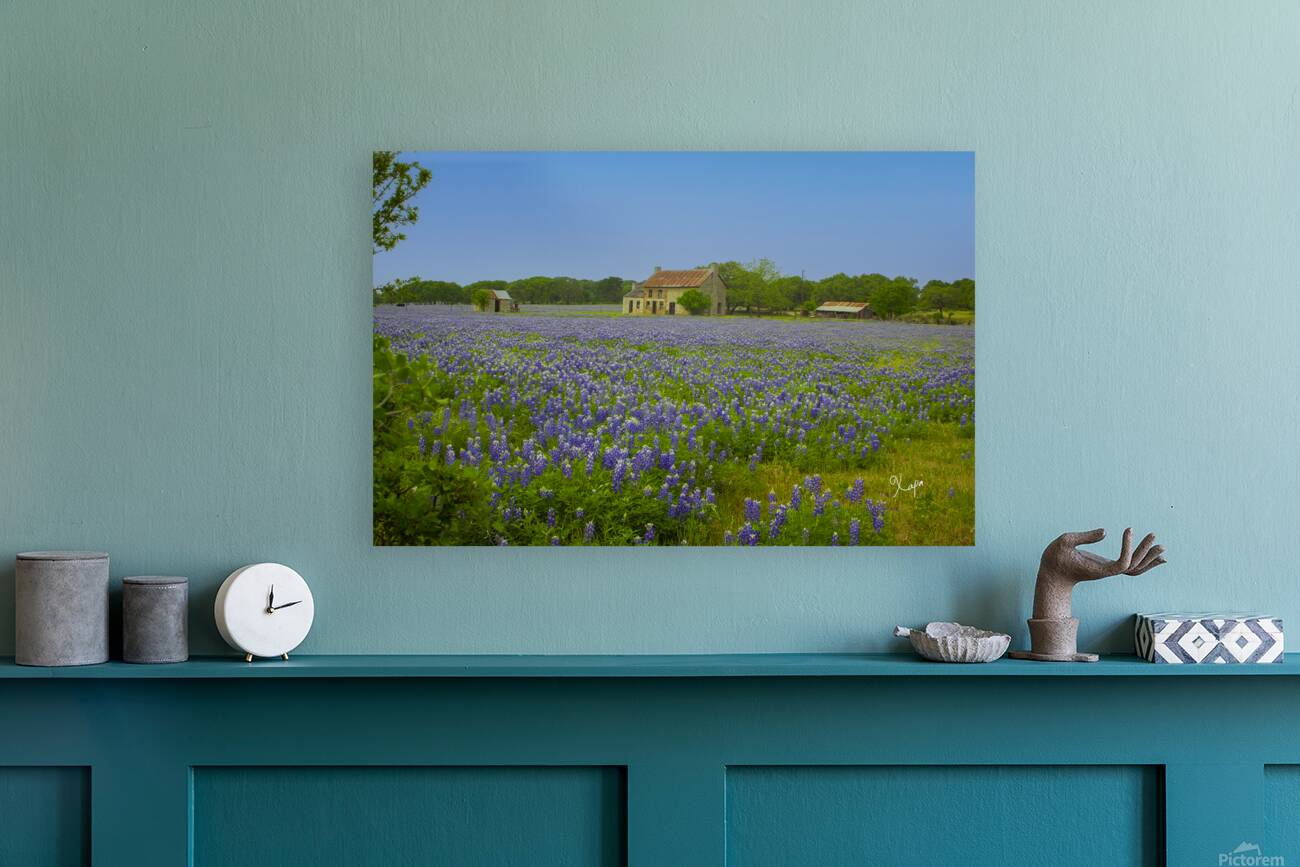 2561337 :: Giclée Stretched Canvas Print