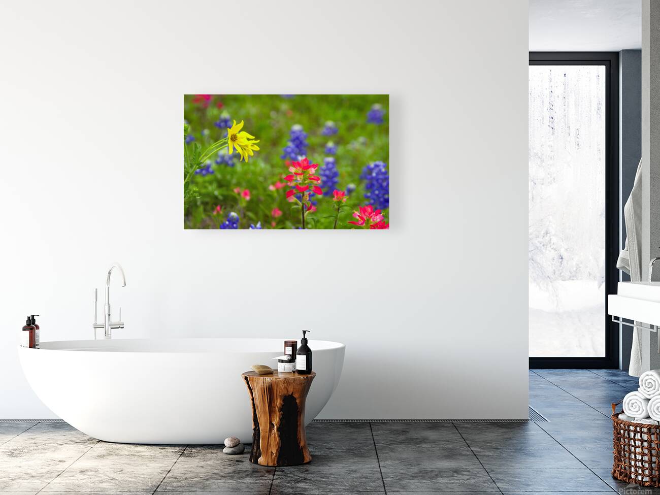 2561352 :: Giclée Stretched Canvas Print