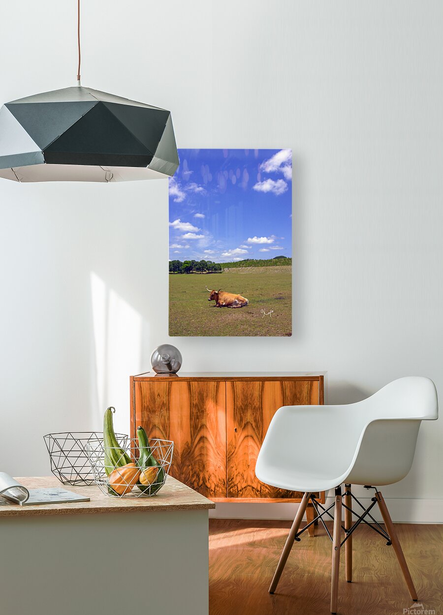 2561316 :: HD Sublimation Metal Print