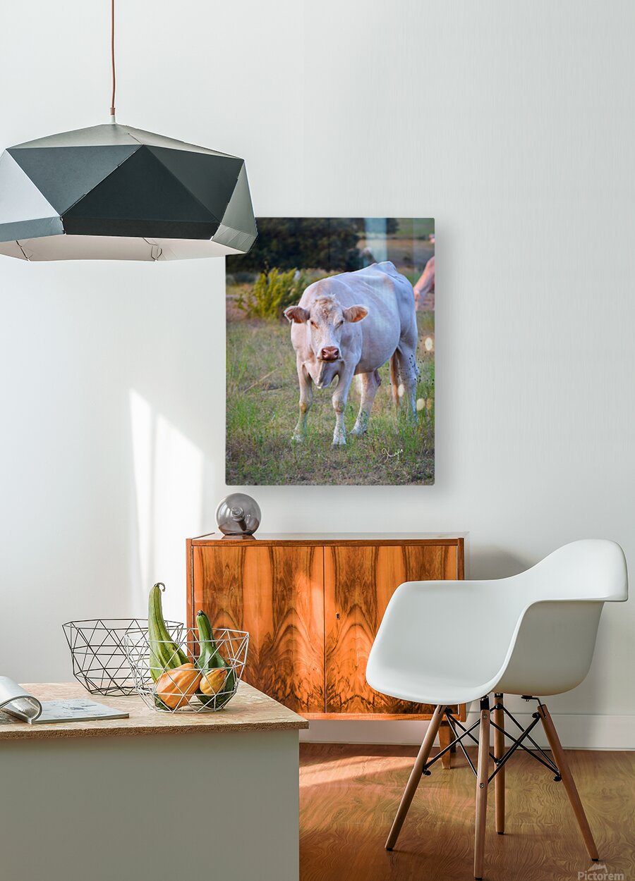 2561328 :: HD Sublimation Metal Print