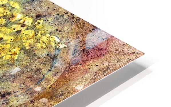 2486973 :: HD Sublimation Metal Print