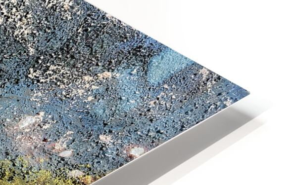 2490085 :: HD Sublimation Metal Print