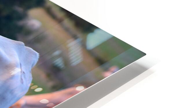 2561328 :: HD Sublimation Metal Print