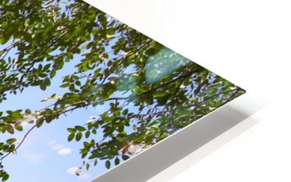 2561331 :: HD Sublimation Metal Print