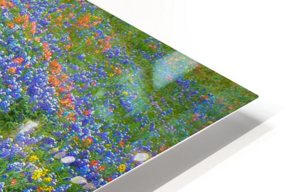 2561333 :: HD Sublimation Metal Print