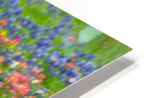 2561334 :: HD Sublimation Metal Print