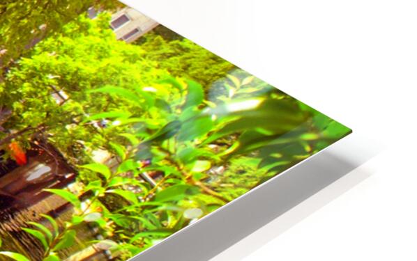 2561345 :: HD Sublimation Metal Print